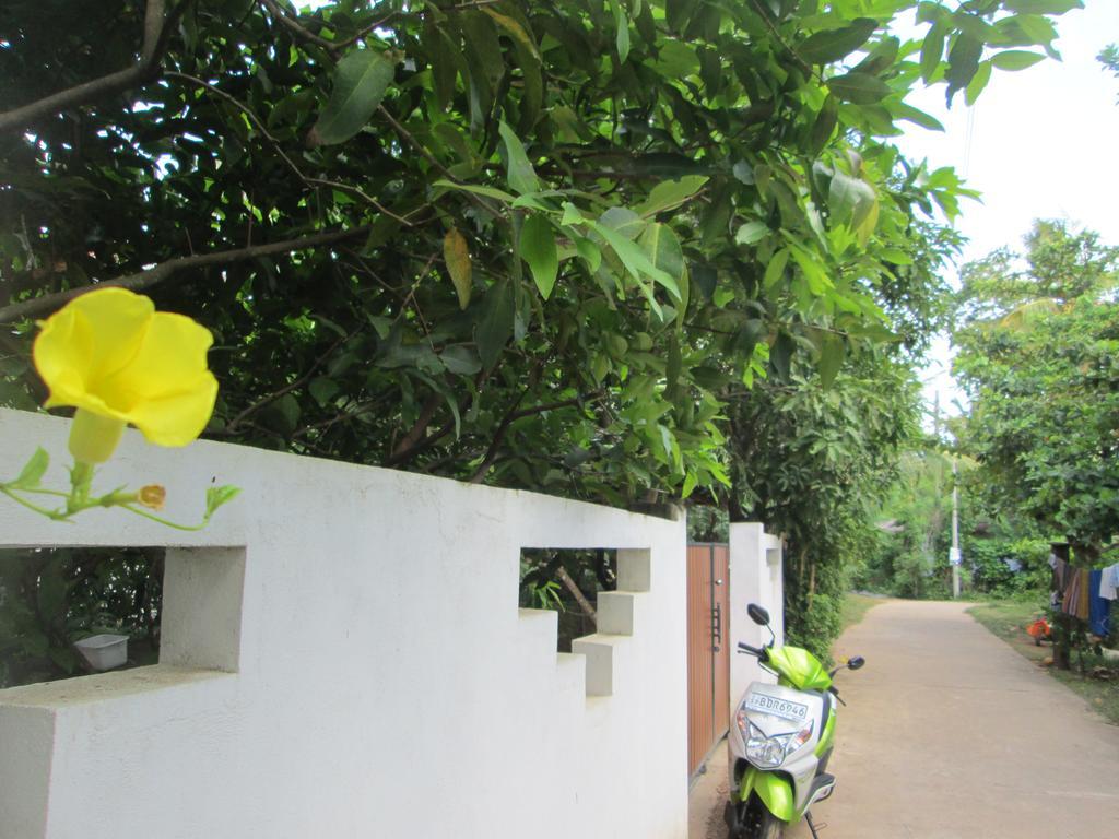 Bay Reach Home Stay Weligama Exterior photo